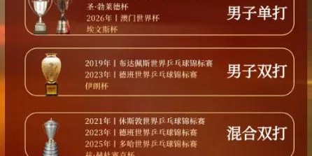 樊振东马不停蹄训练，球迷晒王楚钦世界冠军数据，马龙去北大读博|北京大学|国乒|国乒男队|三冠王|北京体育大学_新浪体育_新浪新闻