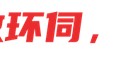 KAIYUN体育APP-年轻的重庆铜梁龙，2026中超最大黑马_新浪新闻